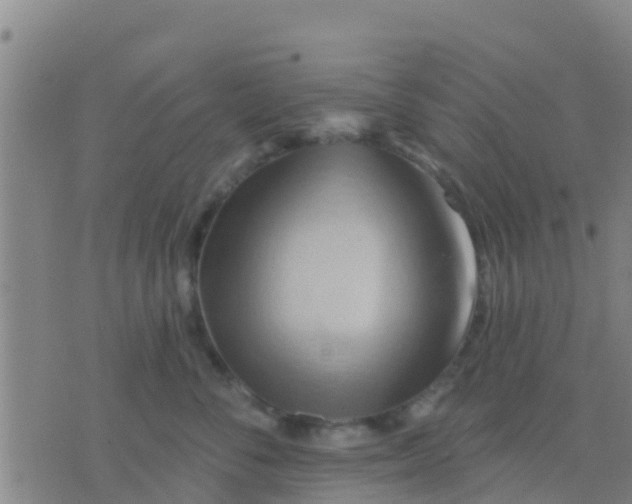 X0000075830716200610061822