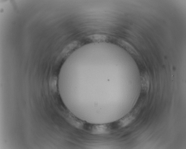 X0000075830717200610061822