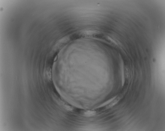 X0000075830718200610061822