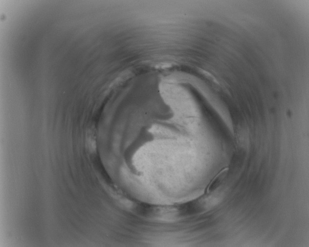 X0000075830719200610061822