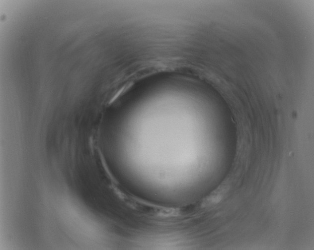 X0000075830720200610061822