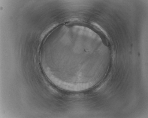 X0000075830721200610061821