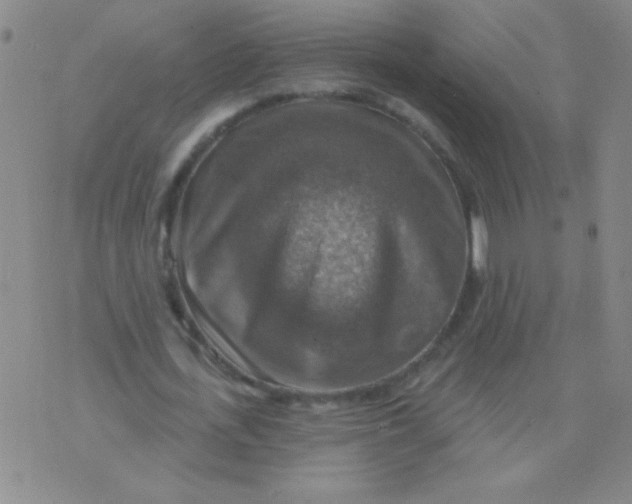 X0000075830723200610061821