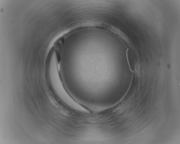 X0000075830724200610061821