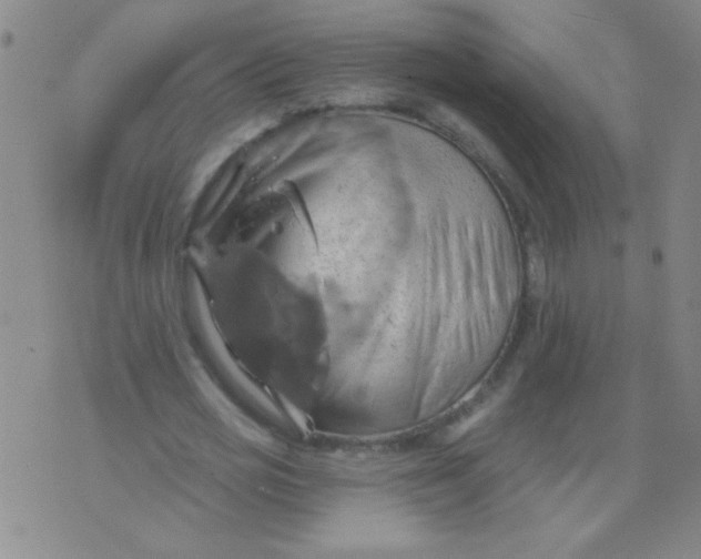 X0000075830725200610061821