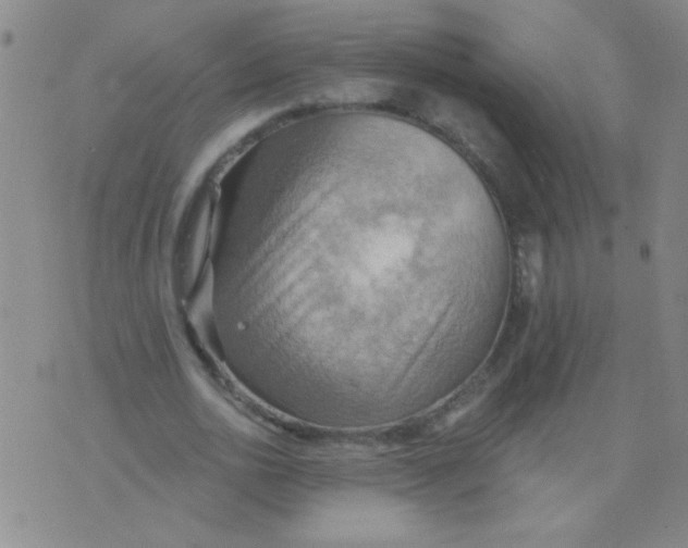 X0000075830726200610061821