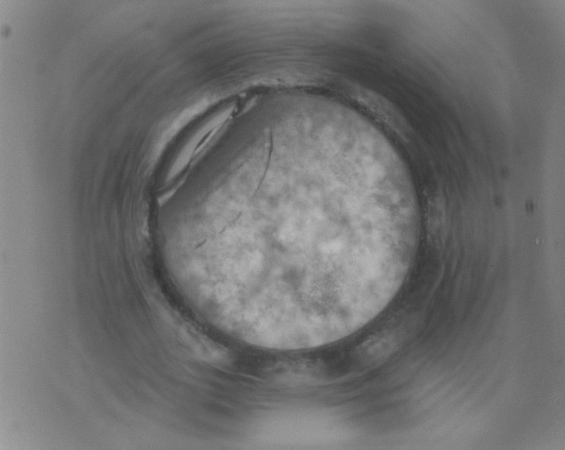 X0000075830727200610061821