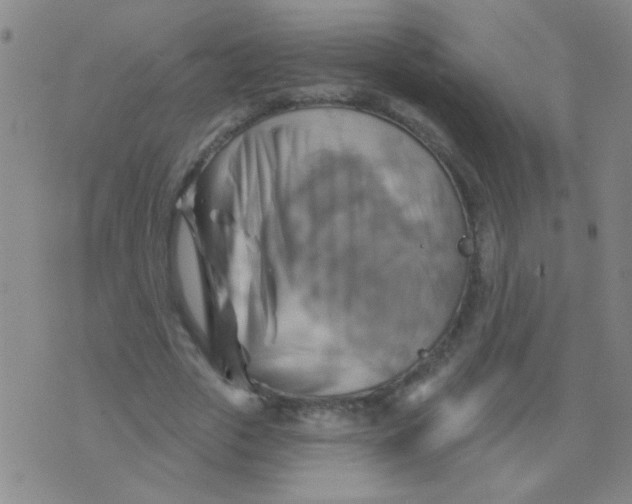 X0000075830729200610061821