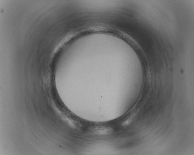 X0000075830730200610061821