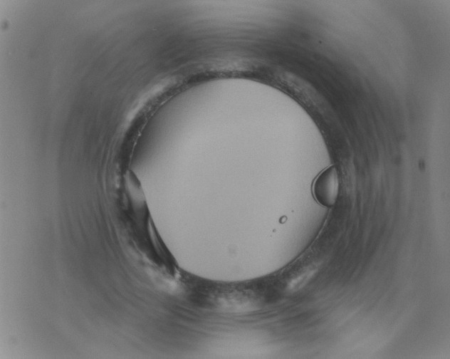 X0000075830731200610061821