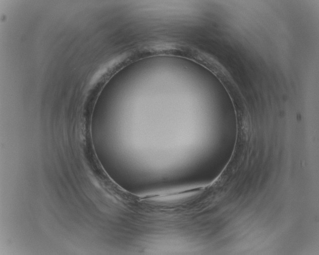 X0000075830732200610061821