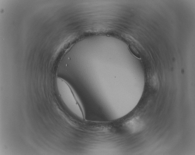 X0000075830735200610061821