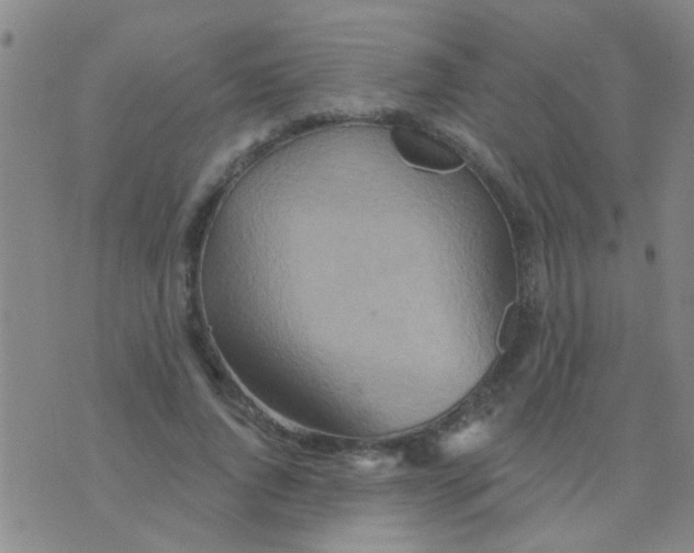 X0000075830736200610061821