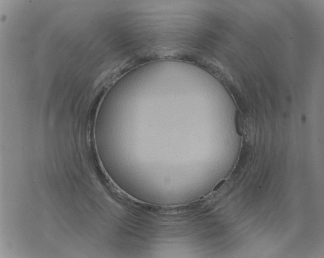 X0000075830740200610061821