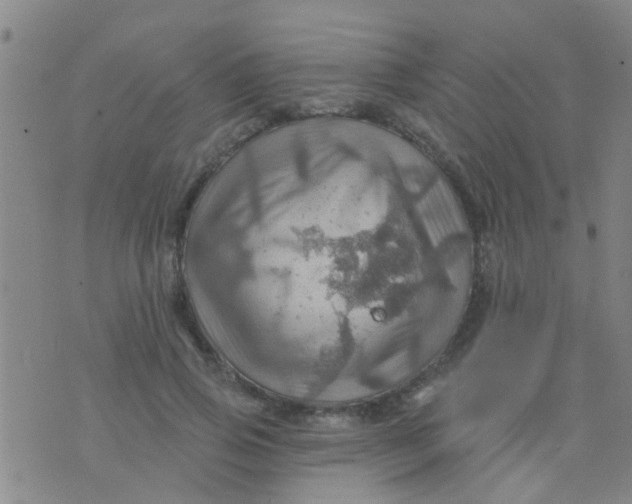 X0000075830741200610061821