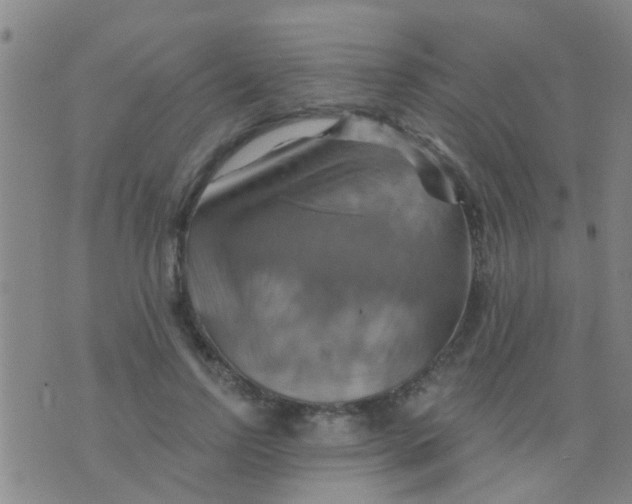 X0000075830742200610061821