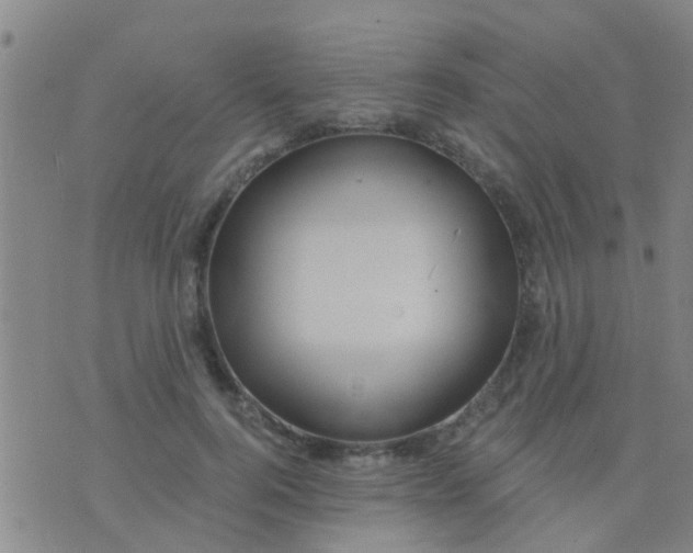 X0000075830744200610061821