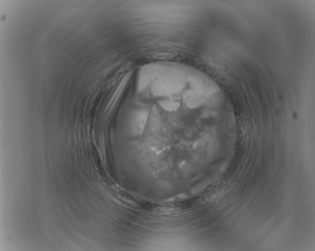 X0000075830745200610061821