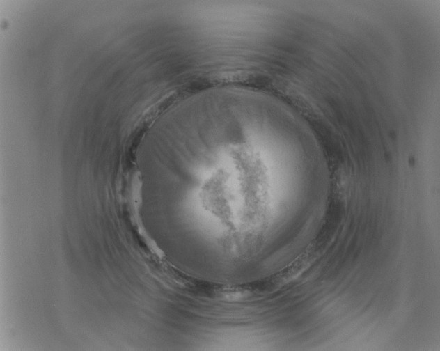 X0000075830746200610061821