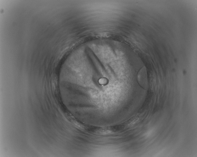 X0000075830747200610061821