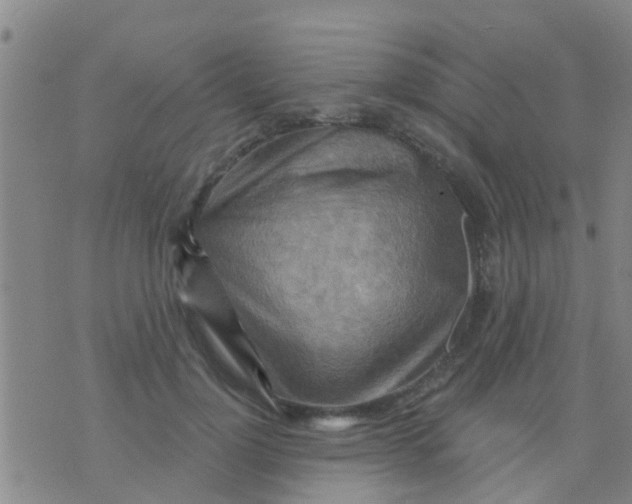 X0000075830748200610061821