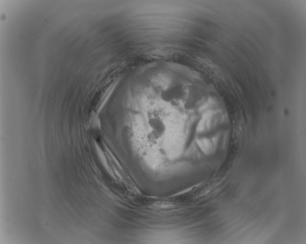 X0000075830749200610061821