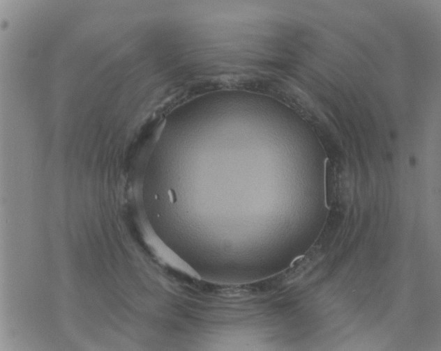 X0000075830750200610061822