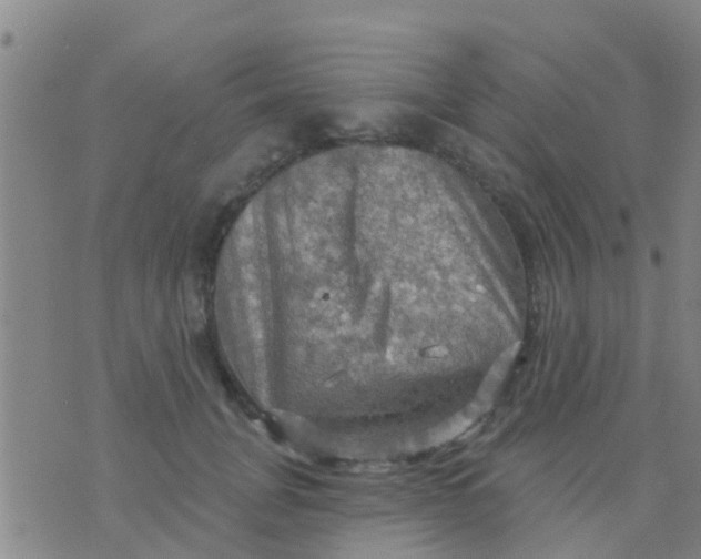 X0000075830751200610061822