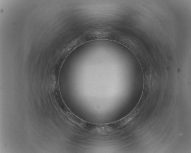 X0000075830752200610061822