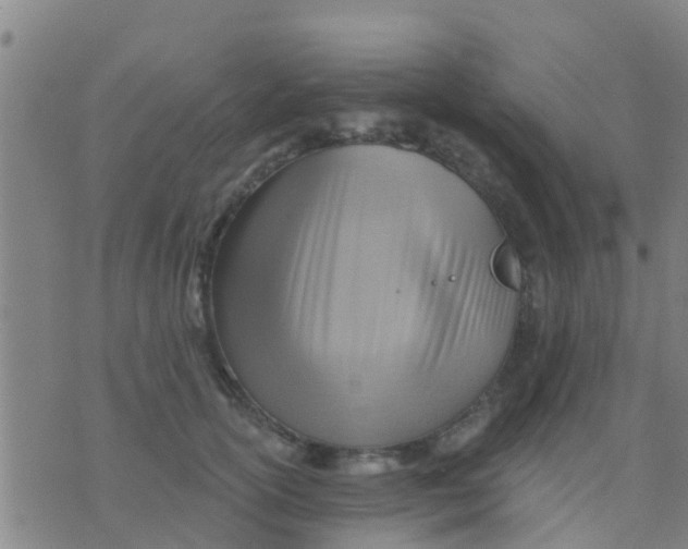 X0000075830754200610061822