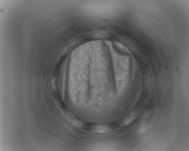 X0000075830755200610061822