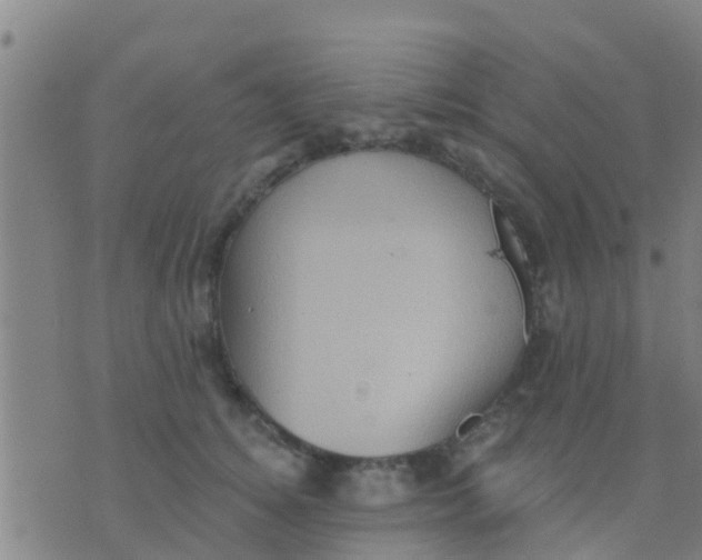 X0000075830756200610061822