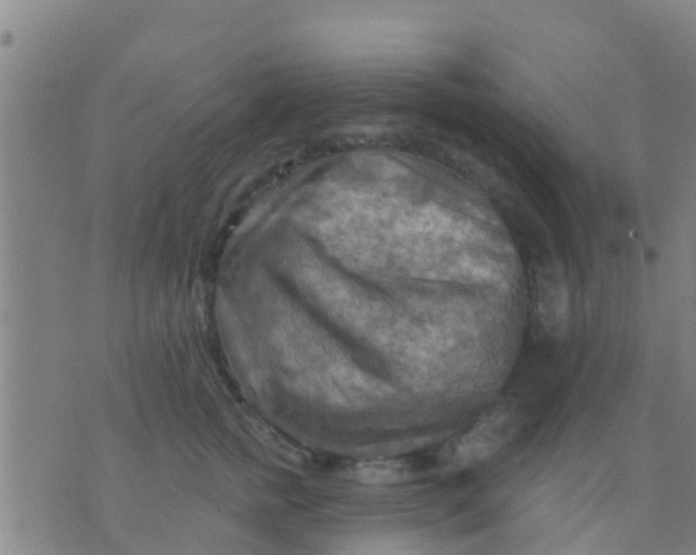 X0000075830758200610061822