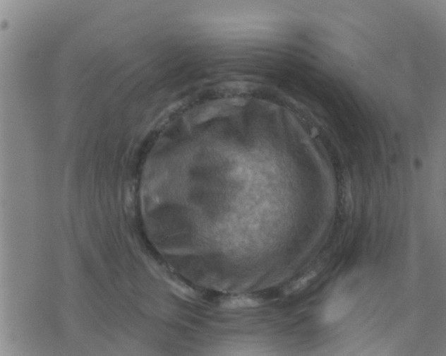 X0000075830759200610061822