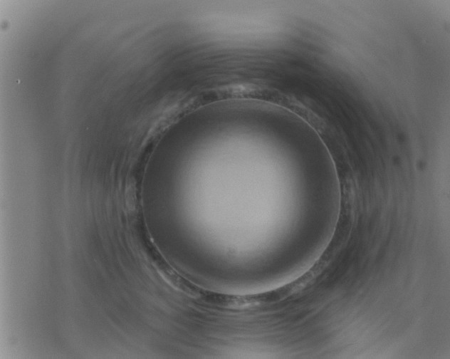 X0000075830760200610061822