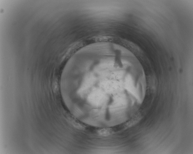 X0000075830761200610061822