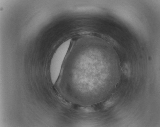 X0000075830763200610061822