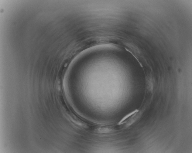 X0000075830766200610061822