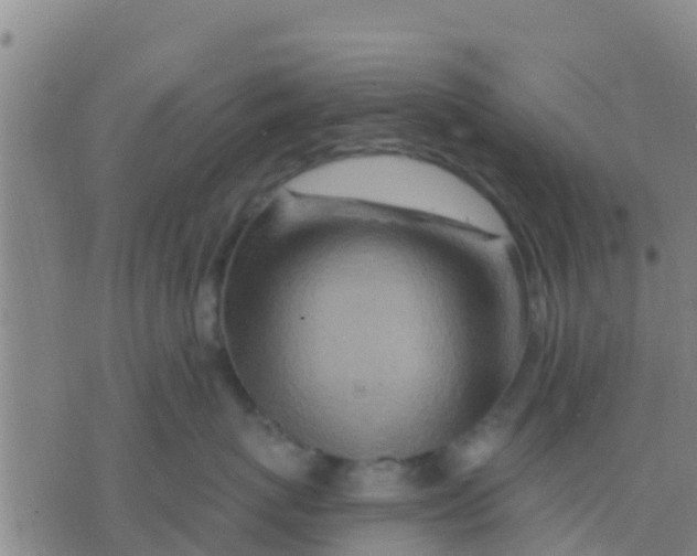 X0000075830767200610061822