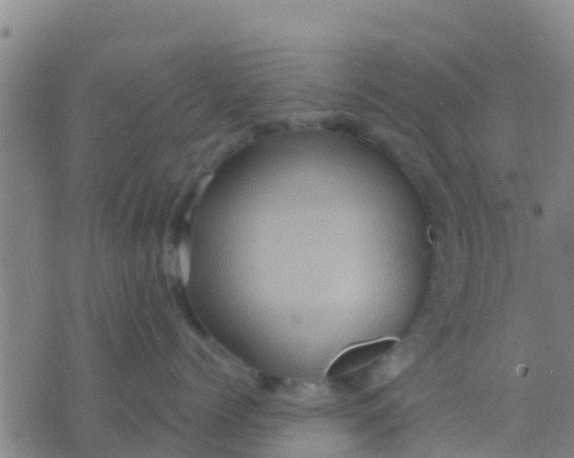 X0000075830768200610061822