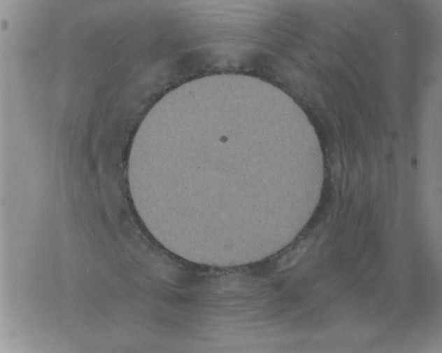 X0000075830769200610061821