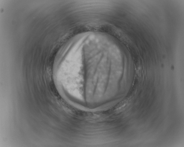 X0000075830772200610061821