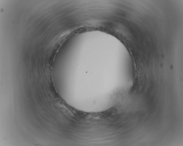 X0000075830773200610061821