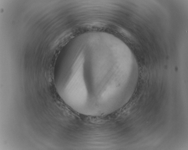 X0000075830774200610061821