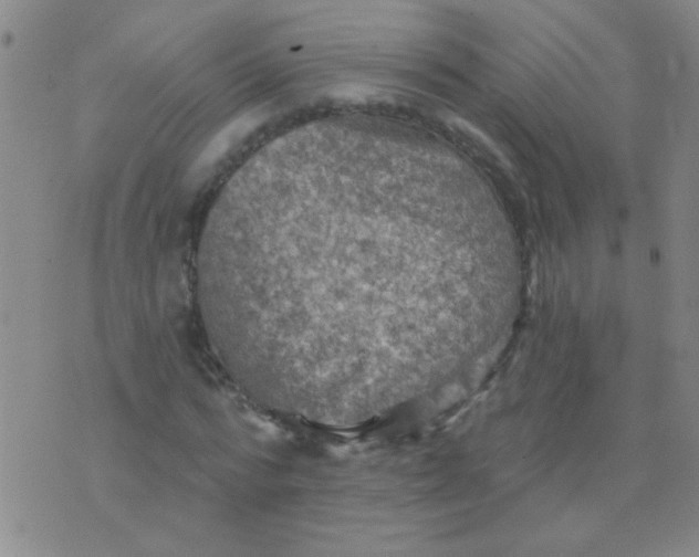 X0000075830776200610061821