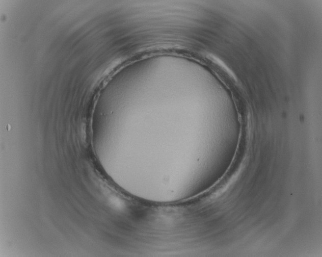 X0000075830777200610061821