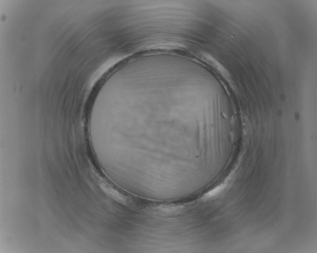 X0000075830779200610061821