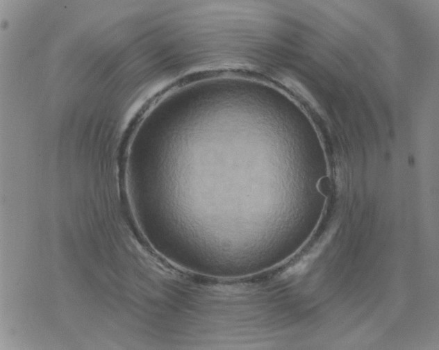 X0000075830781200610061821