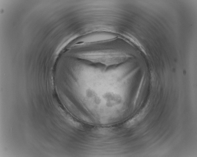 X0000075830782200610061821