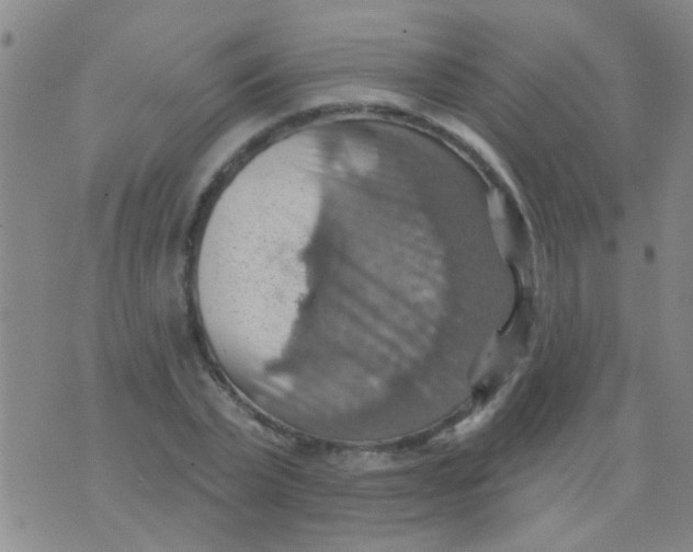 X0000075830783200610061821